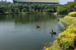 Xiamen University Technology Park