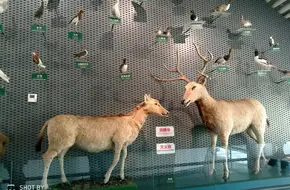 National Wetland Museum