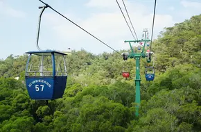 Bell And Drum Cableway