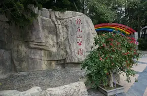 Foxtail Hill Park