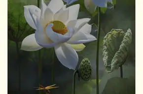 Shanglin Yuan
