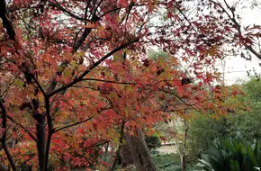 Jiao Lu Hermitage