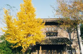Xixi Wetland Park