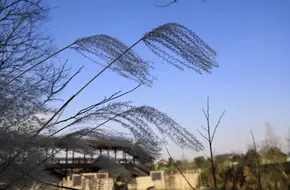 Xixi Agricultural Culture Village