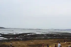 Xiamen Xinglin Bay Fishing Base