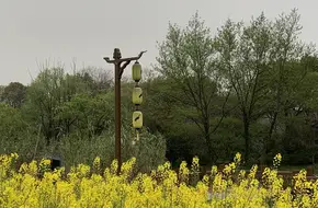 Hongyuan Echo