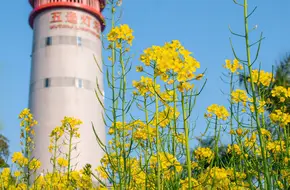Wutong Lighthouse Park