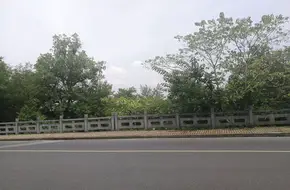 Tai Mei Farm