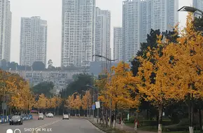 Yuanju Old Street Ancient Town