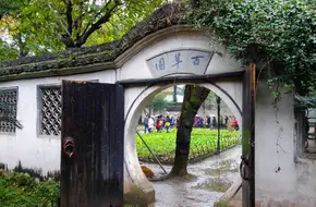 Hangzhou Botanical Garden - Bai Cao Yuan