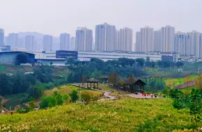 Caohai Bay Park