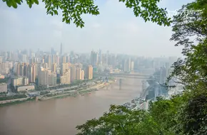 Panoramic View Tower