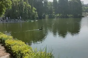 Xiamen University Technology Park