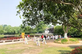 Heart Bridge
