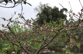 South Hot Spring Nanquan Club