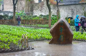 Hangzhou Botanical Garden - Bai Cao Yuan