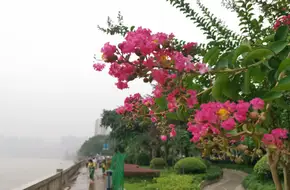 Yudong Riverside Sports And Leisure Park
