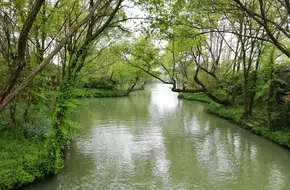 Shentan Kou