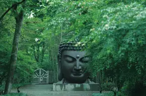 Hangzhou Botanical Graden