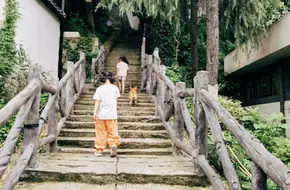 Hangzhou Pingyao Silkworm And Mulberry Culture Museum