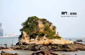 Drum Wave Stone