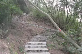 Xiamen Lion Mountain