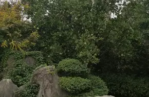 Liangzhu Xiangshan Leisure And Sightseeing Park
