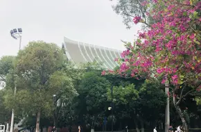 Xiamen University Science And Art Center