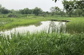 Xiangfu Bridge