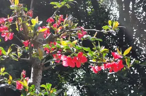 Longzhouwan Tongjiang Park