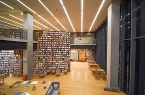 XIAOSONG LIBRARY