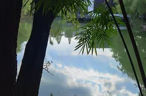 Nanhua Garden