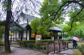 Hangzhou Botanical Garden - Bai Cao Yuan
