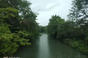 Quanfu Bridge
