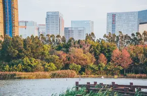 Wuyuan Bay Wetland Park