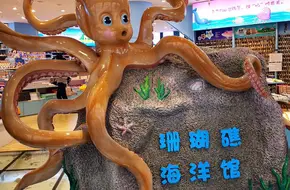 Coral Reef Ocean World