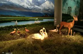 National Wetland Museum