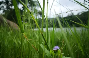Xiamen University Reservoir