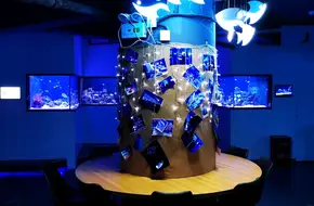 Coral Reef Ocean World