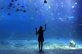 Chongqing Hanhai Ocean Park