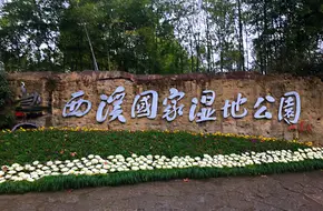 Xixi Wetland Hongyuan
