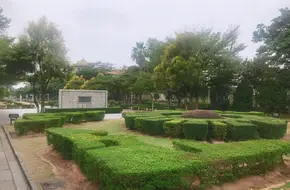 Returning Garden