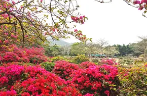 Meihai Ridge