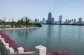 Furong Garden