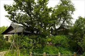 Meizhu Villa