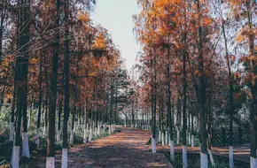Xiamen International Garden Expo Park