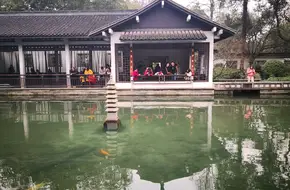 Yuquan Fish Leaping
