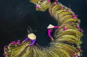 Binjiang Health Theme Park