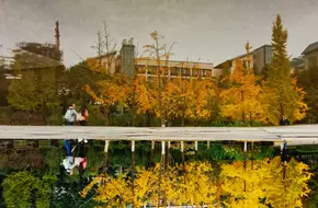 Chongqing University Of Technology