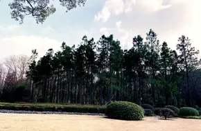 Zhejiang University Cultural Square